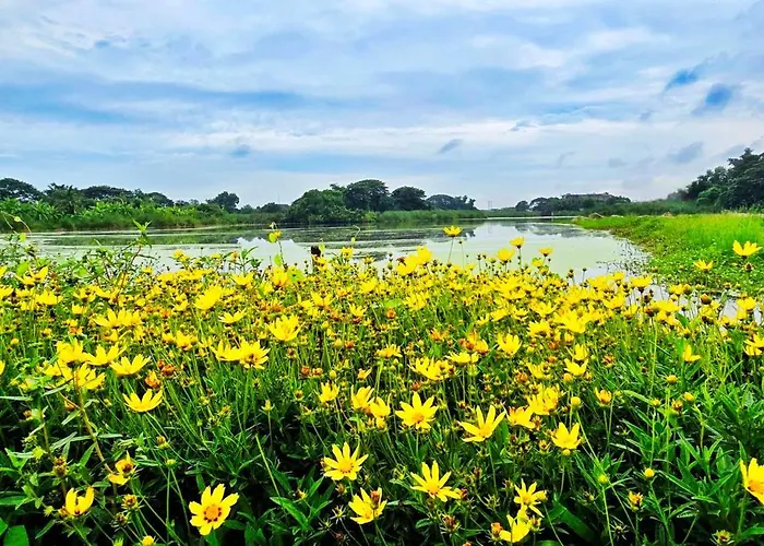 民宿 Tiny Island 曼谷