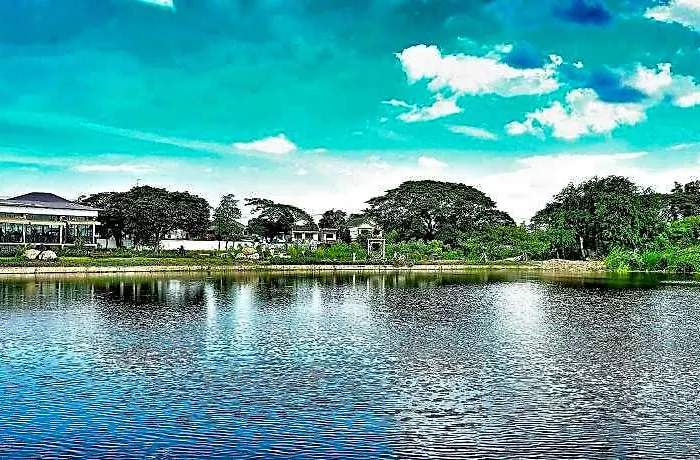 Tiny Island *
