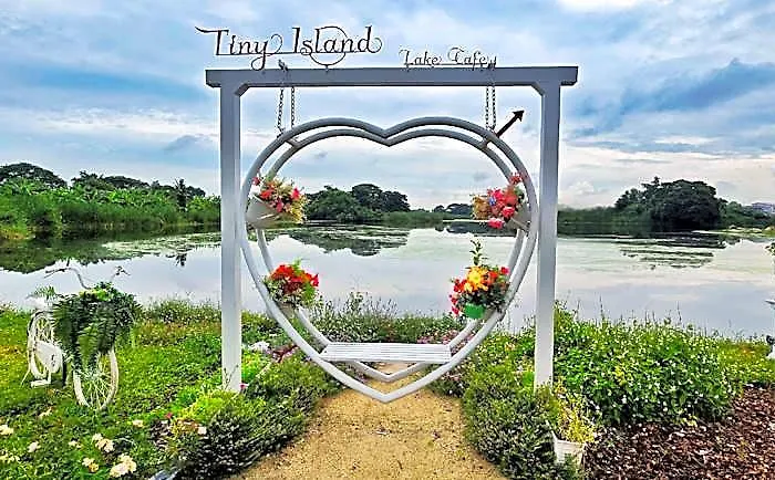 Tiny Island *